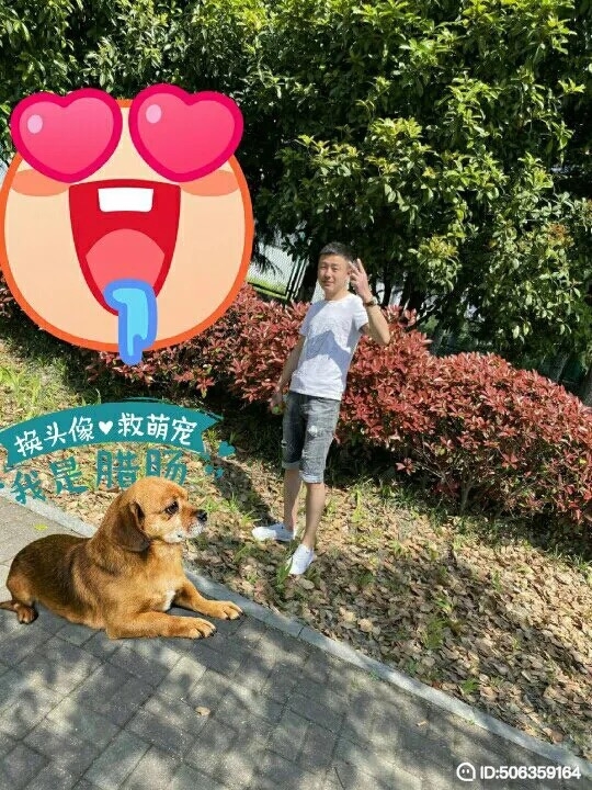 我若不坚强谁替我勇敢的第一张照片--肥西蓝颜知己交友网